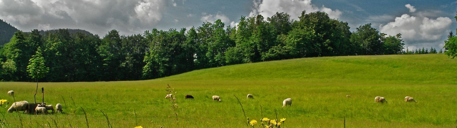 Na výlet do města i za krásami lesních pěšin v Beskydech