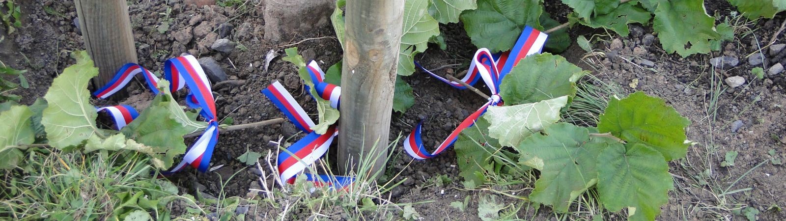 Beskydy mají nové symboly svobody