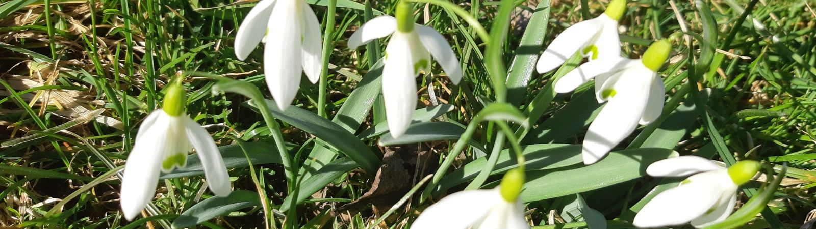 Turistickou sezónu v Beskydech zahájí hradní slavnosti i Pikanterie