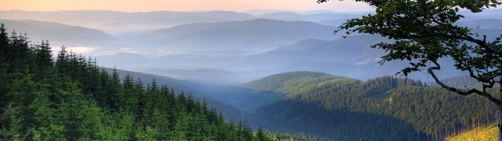 Do Beskyd za láskami Petra Bezruče