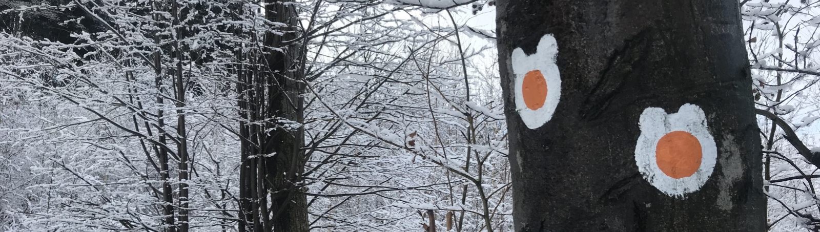 Chystáte se o víkendu na hory? Beskydy nejsou jen Pustevny a Lysá hora.