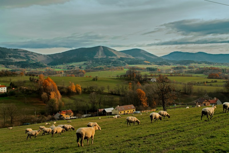 Fantazie podzimu Beskyd