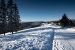 Gruň: Foto Radek Šubrt