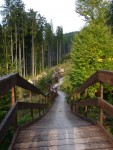 Singletrails Bílá
