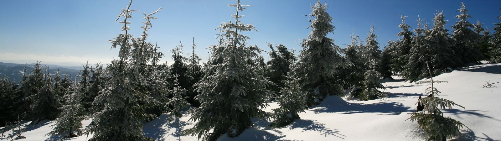 Beskyd Ski Zlatník