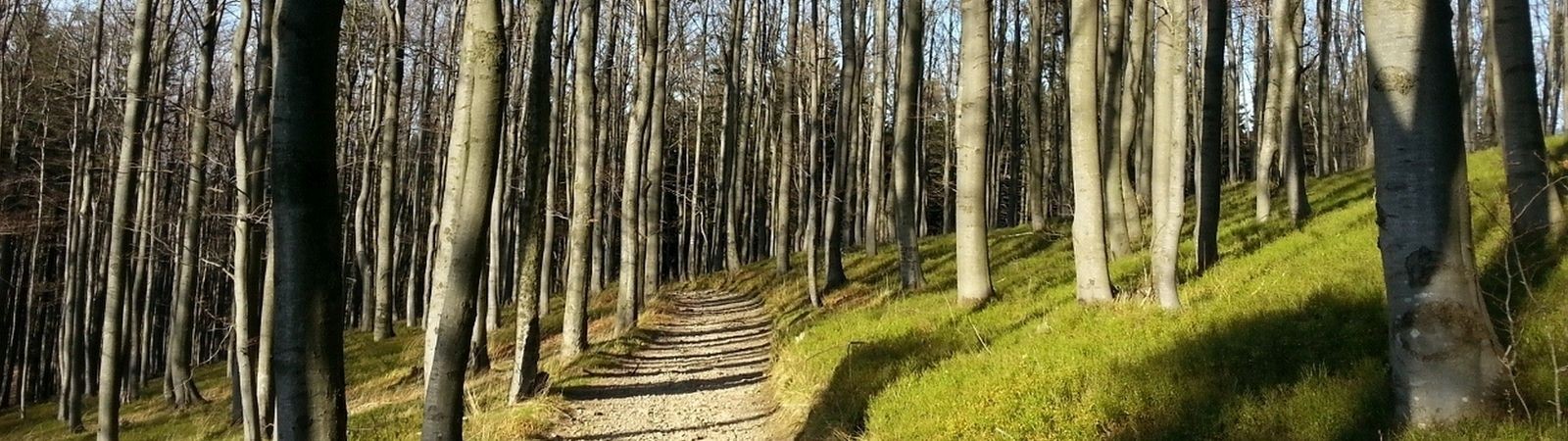 Kotař turistická chata (795 m n. m.)