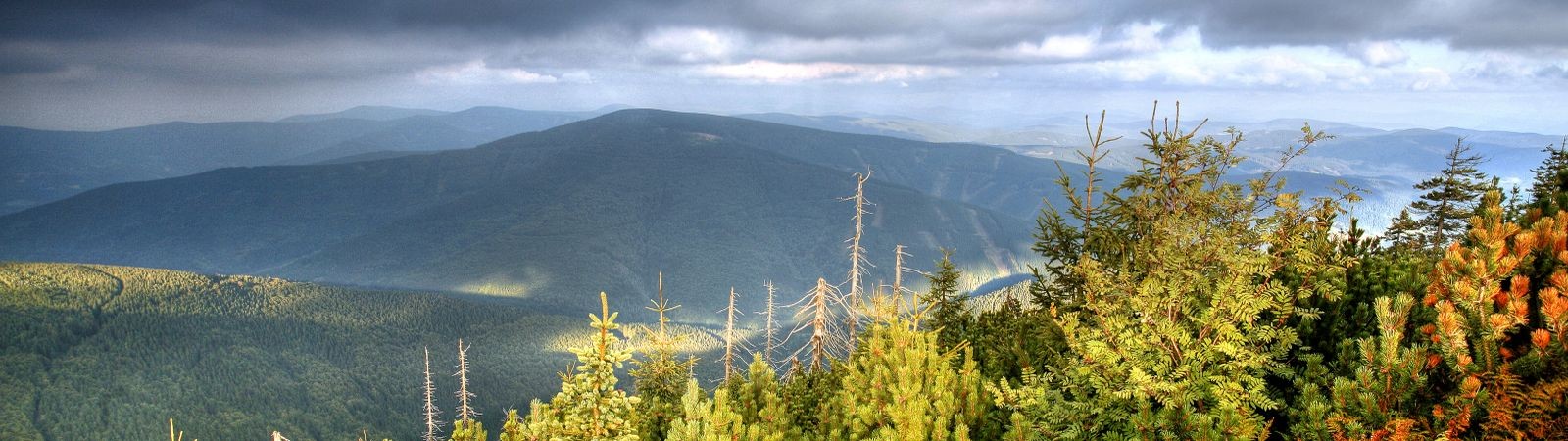 Travný (1203 m n. m.)