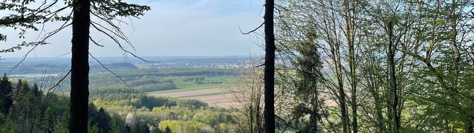 Metylovická hůrka - Čupek (524 m n. m.)