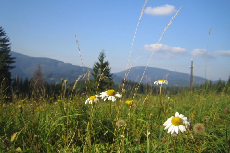 Z Bílého Kříže, místa pašování soli