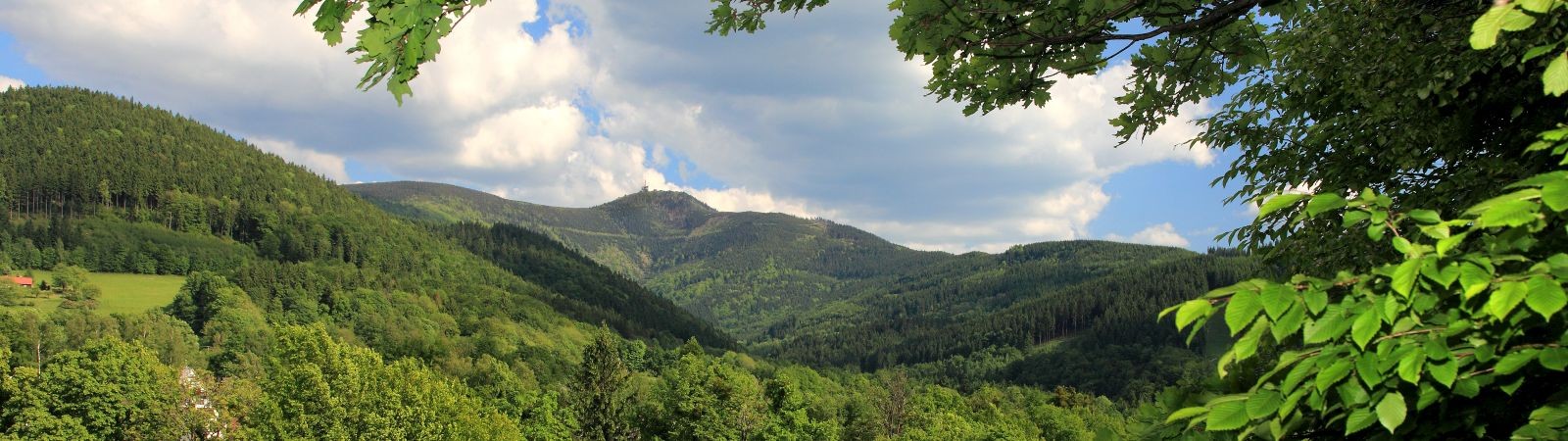 Orlí hnízdo