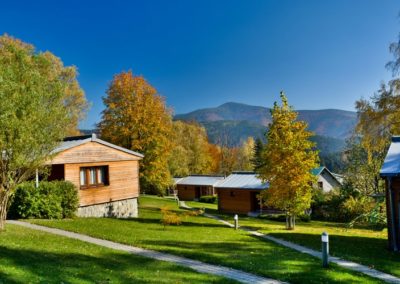 Beltine forest hotel