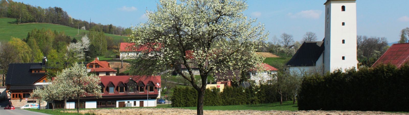 Restaurace a penzion Pod Lipami Metylovice